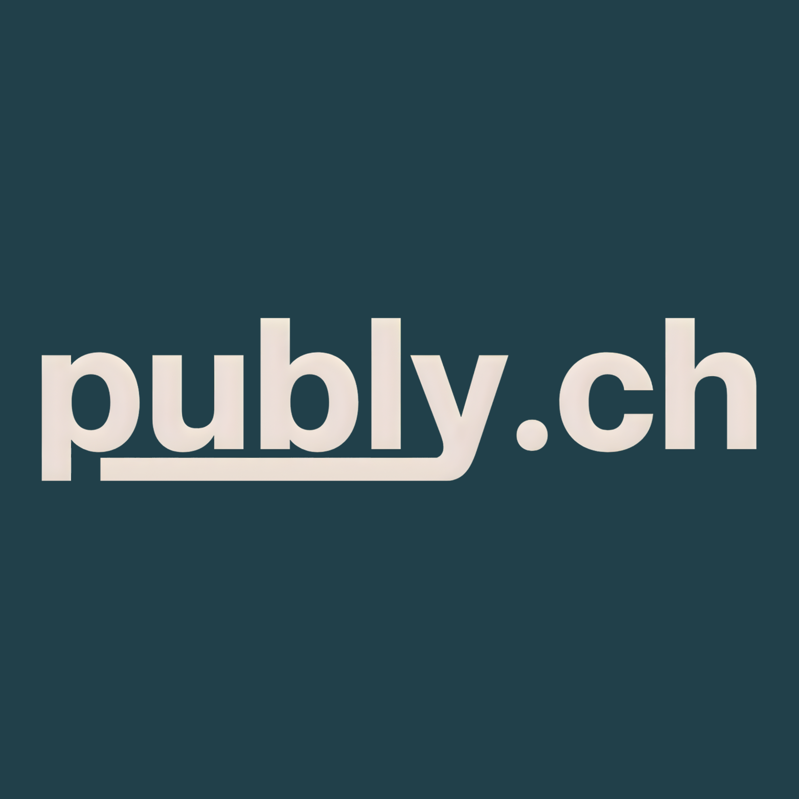 Publy.ch logo