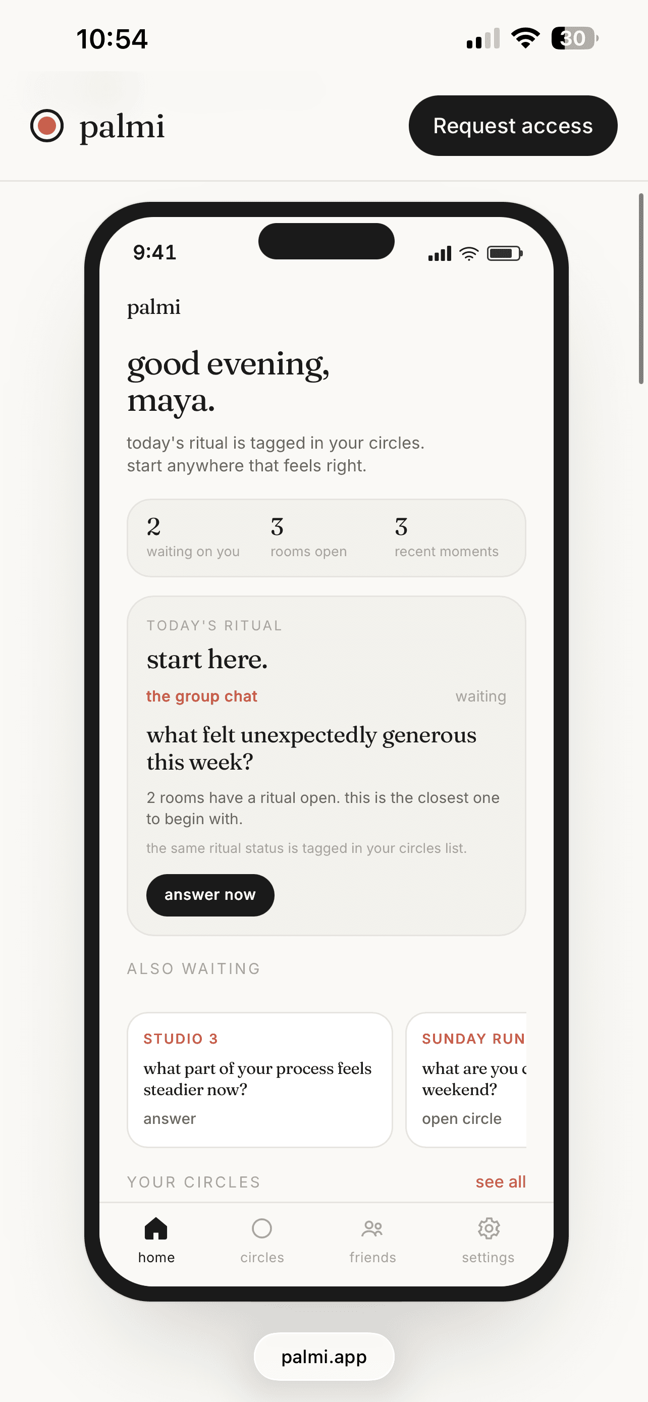 palmi screenshot 1