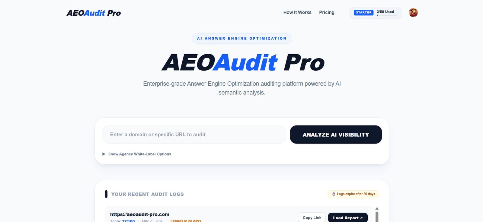 AEO Audit Pro screenshot 1