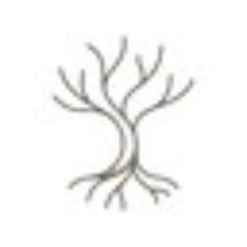 Roots - Calm Mind Wisdom logo
